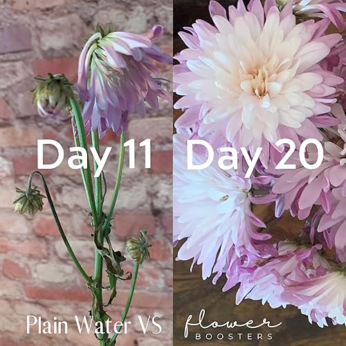 Miniatura 3 de Flower Boosters Cut Flower Food  Fórmula biodegradable a base de alimentos reales segura alrededor de mascotas y personas, extiende la vida útil del