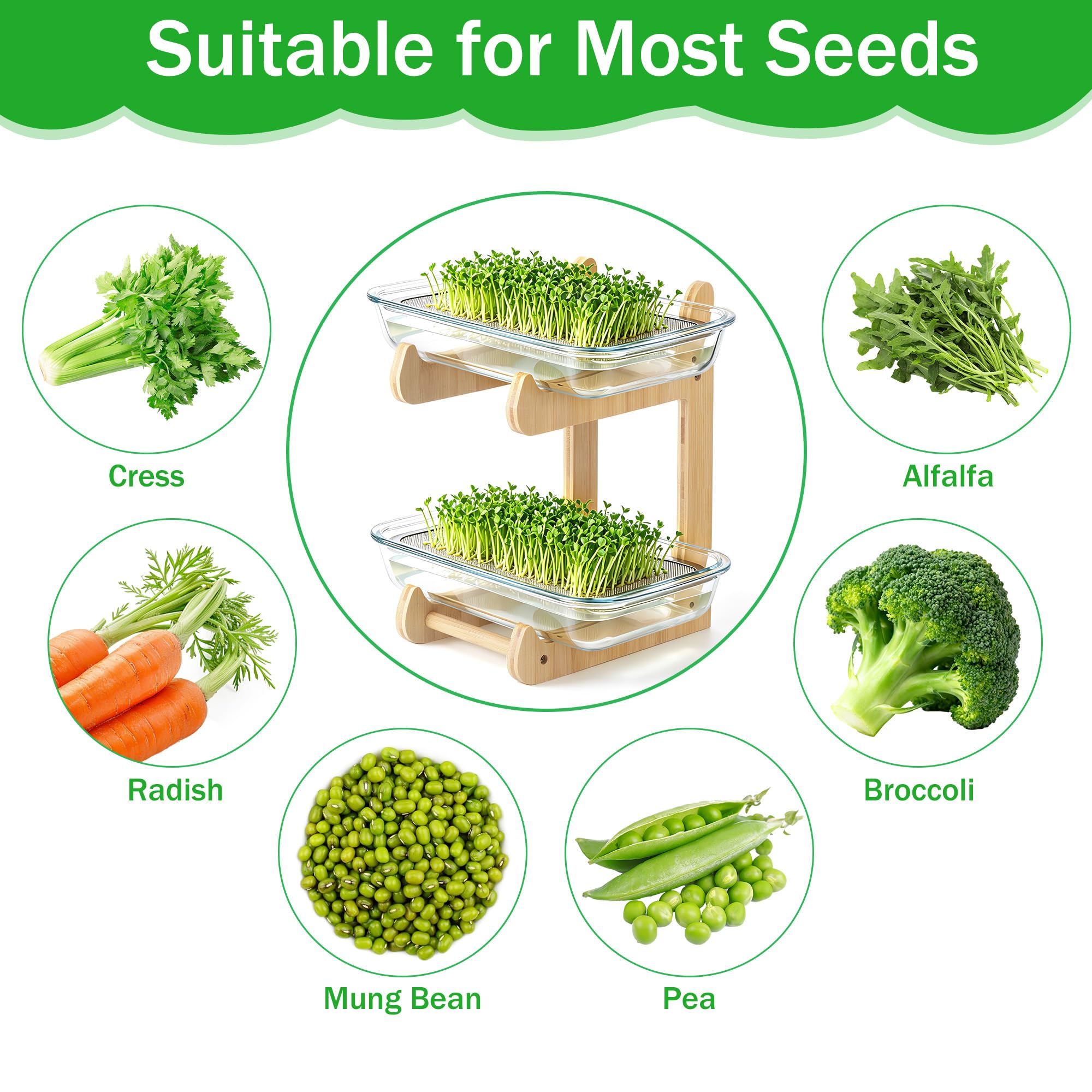 Sprossen Anzuchtset, 2 Böden Microgreens Anzuchtset mit 2 Glas Kresse Anzuchtschalen und Bambusständer, Microgreens Starter Set für Kressesamen, Sprossen, Brunnenkresse