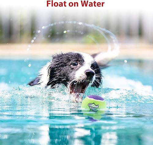 Miniatura 4 de Gigwi Pelota de tenis chirriante para perros, pelota interactiva para perros pequeños y medianos, juguete de goma colorido y de rebote alto de 2.5