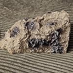 Review Image by Rob Adams Rob Adams