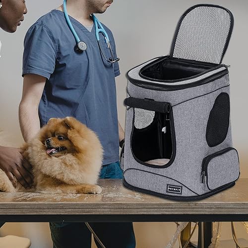 Miniatura 9 de Petsfit Mochila para mascotas con diseño mejorado de cojín de cintura para adaptarse mejor a la cintura, adecuada para gatos pequeños y medianos y