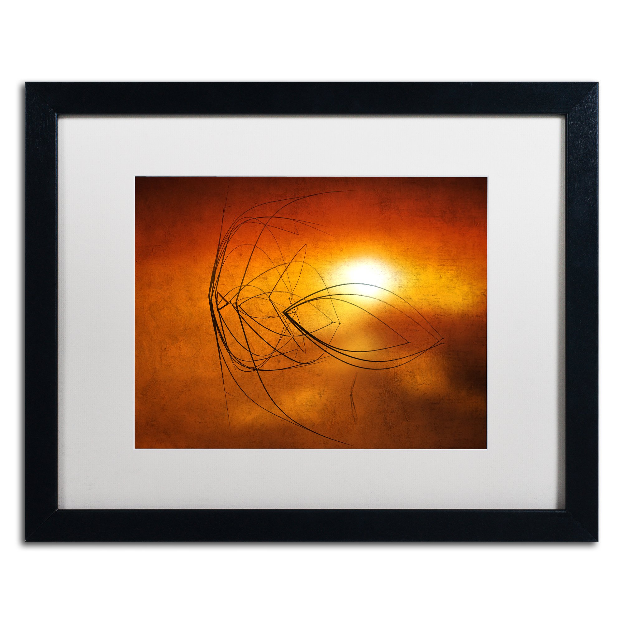 Trademark Fine Art Touch of Last Light Framed Artwork by Philippe Sainte-Laudy, 16 by 20", White Matte/Black Frame