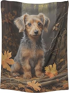 CAPITUNEISKINEPA Doxiepoo Dog Blanket Gift Decorative Blanket Small Blanket for Travel 30