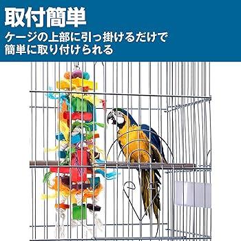 Amazon | Felimoa 鳥用おもちゃ インコ オウム 運動 かじり木 吊り下げ Amazon | Felimoa 鳥用おもちゃ インコ オウム 運動 かじり木 吊り下げ