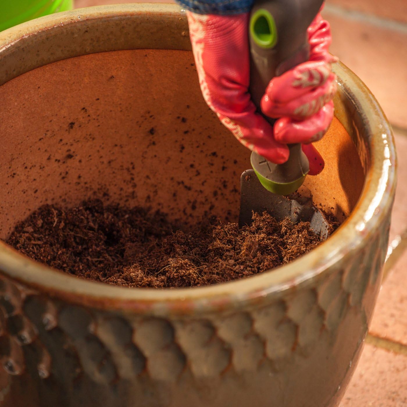 CAN YOU GROW VEGETABLES IN POTTING SOIL? Hcc Garden The Garden Man