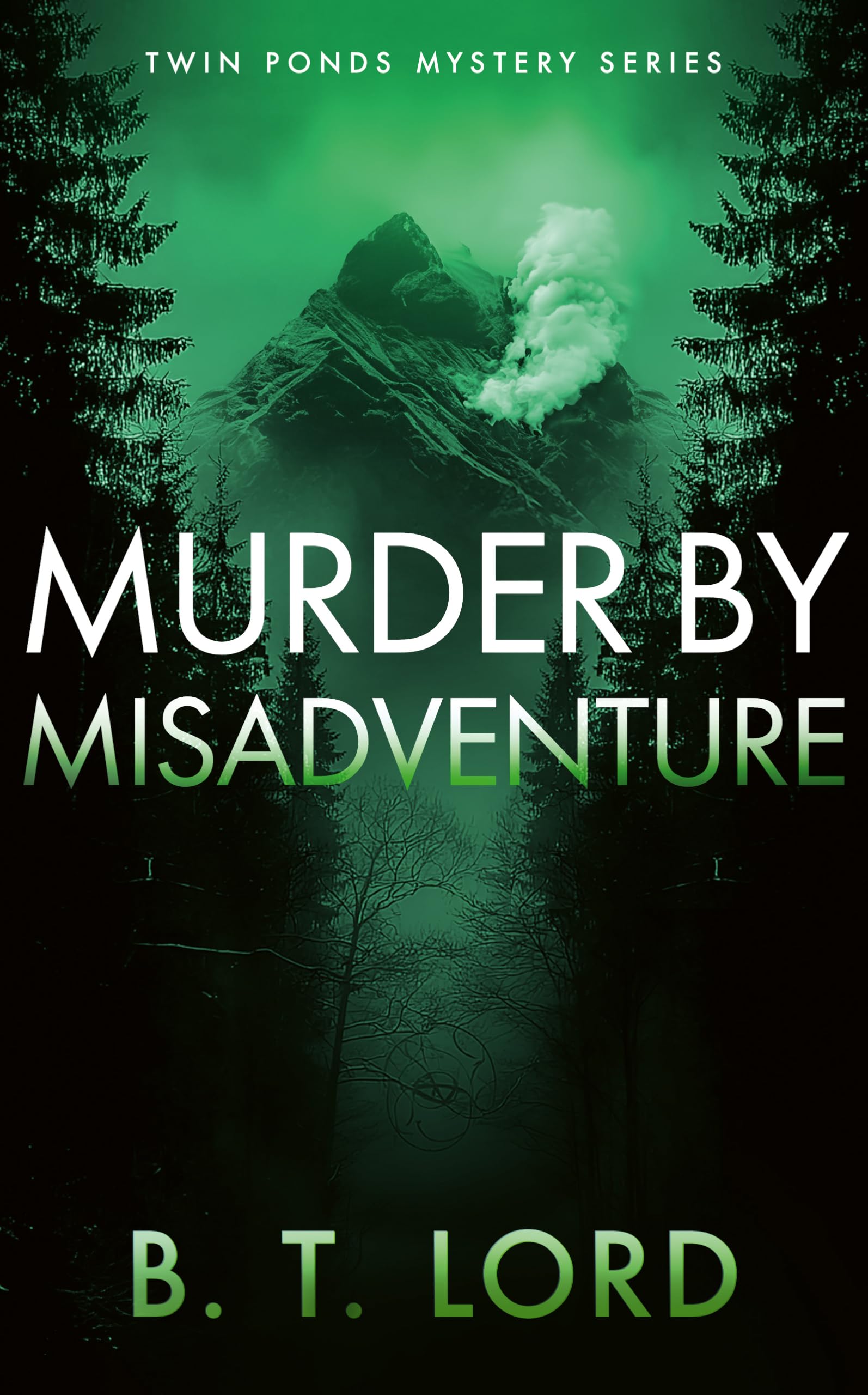 Murder by Misadventure: 2 (Twin Ponds Mystery Series)