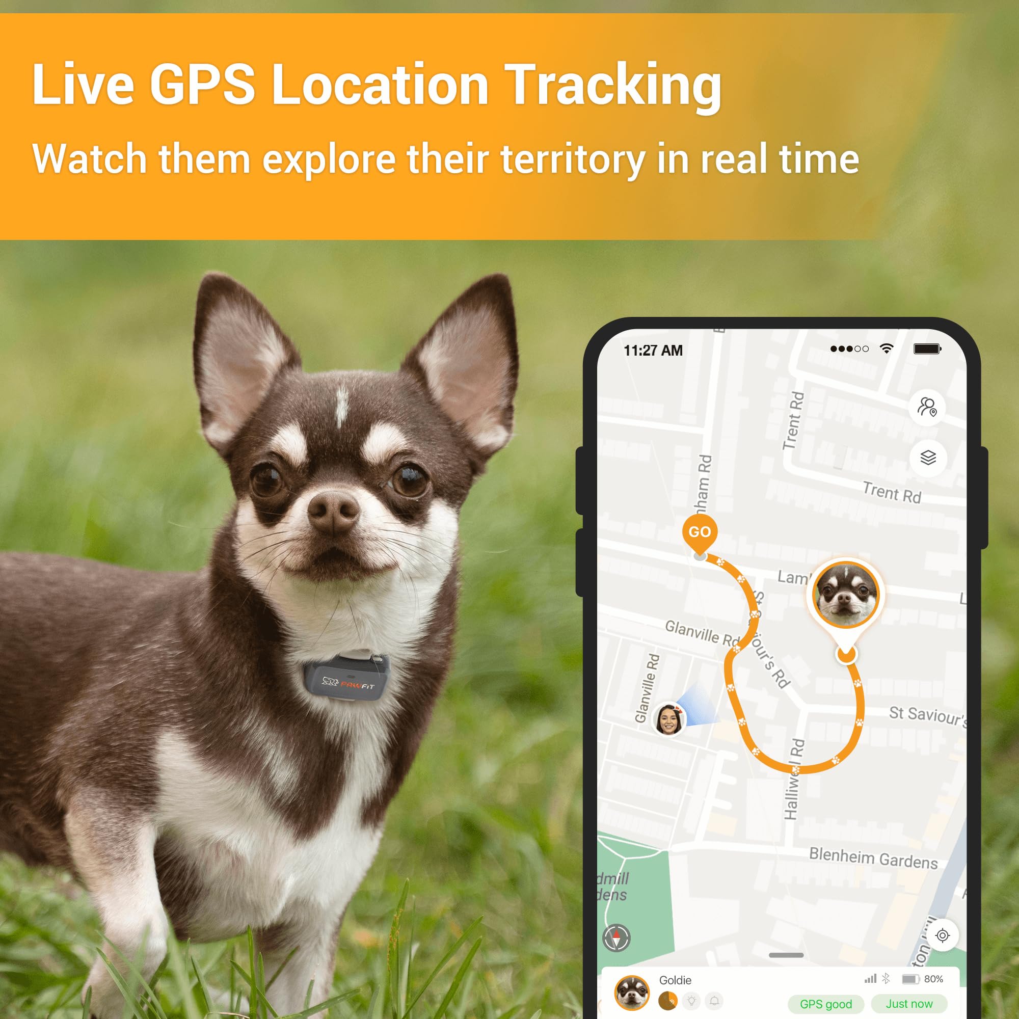 Pawfit Lite for Small Dogs 4g GPS Tracker | Real Time Tracking | Activity Monitoring |Location History | Unlimited Range | Lilac Grey - image 2