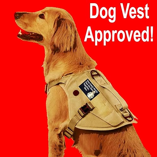 Miniatura 6 de Parche de moral para alfombra Big Lebowski. Perfecto para tu equipo táctico militar del ejército, mochila, gorra de béisbol de operador, portador de