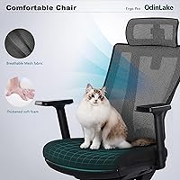 Vista 6 de OdinLake Ergonomic Office Chair Mesh - Seat Depth Adjustable Home Office Desk Chairs High Back with Lumbar Support - Computer Swivel Task Chair with
