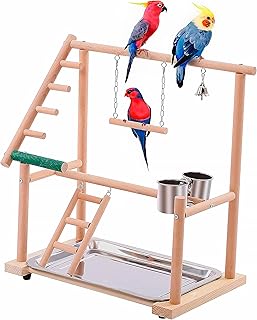 Parrot Playstand - Natural Wood Bird Playground for Parakeet: Includes Pumice Perch, Ladder, Swing, Bell & Seed Cups - Interactive Gym for Small/Medium Birds