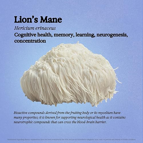 Miniatura 3 de Rainbo Paquete de salud cerebral sin alcohol, extracto de hongo melena de león + tintura de hongo Reishi, tinturas diarias de hongos de extracto