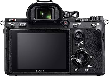 Amazon.com : Sony Alpha a7RIII Mirrorless Digital Camera w/FE 28