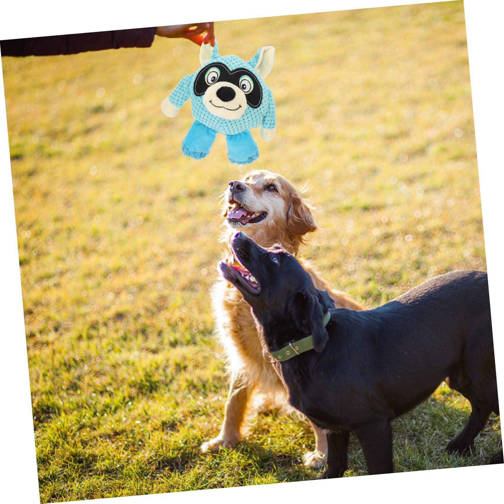 SUPVOX 2piezas Juguete De Peluche Interactivo para Perros Squeaky Toy De Alta Resistencia para Mascotas Que Muerden para Perros Pequeños Casa