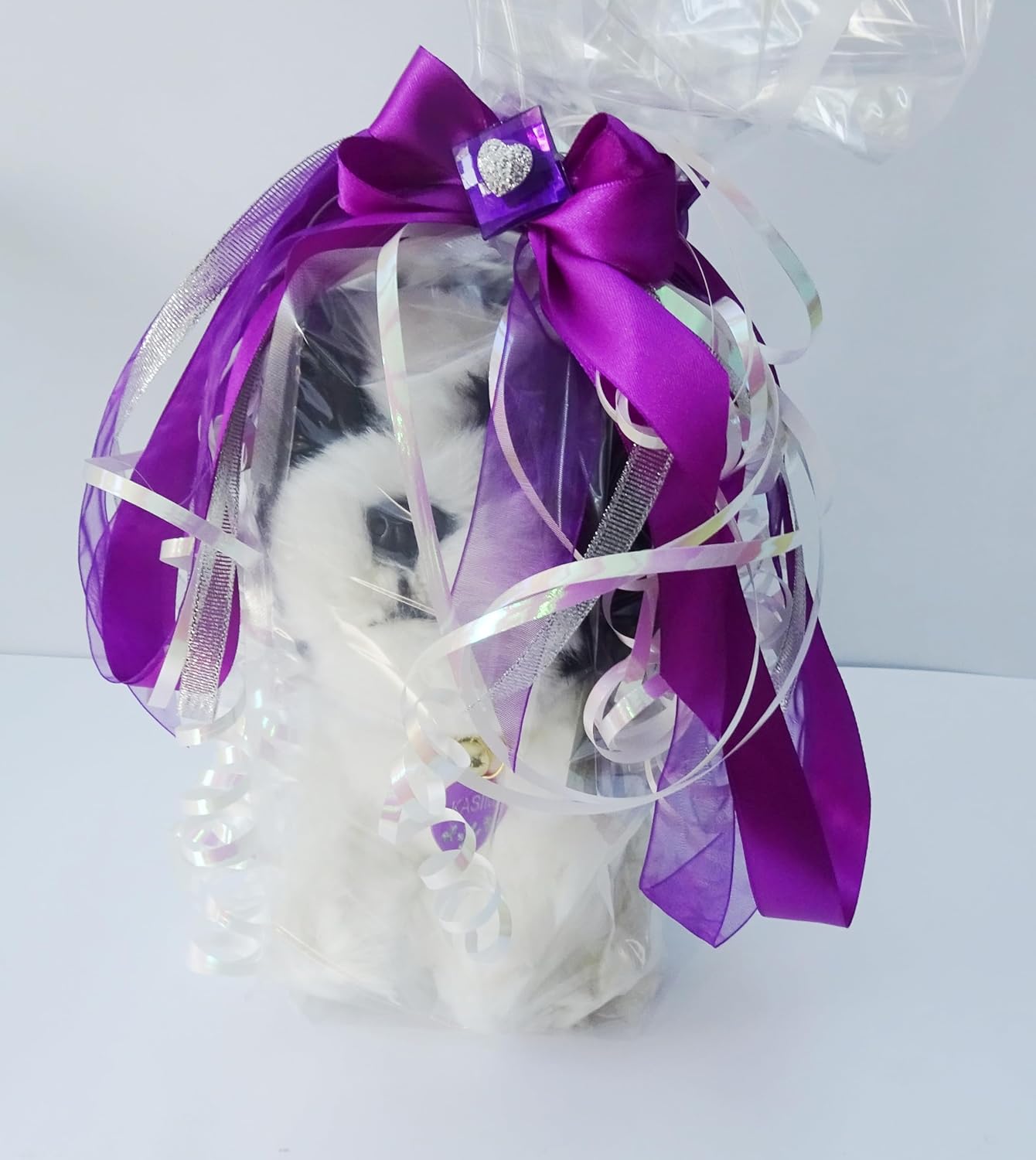 King Charles Cavalier Tri Color Plush Toy Dog Plushie Can Be Personalized & Customized With An Engraved Tag, Collar and Stunning Gift Wrap