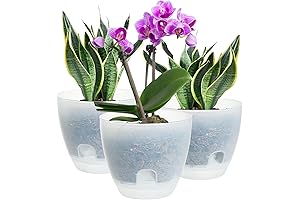Plant Pots for Indoor Plants - 3 Pack 6 Inch Self Watering...