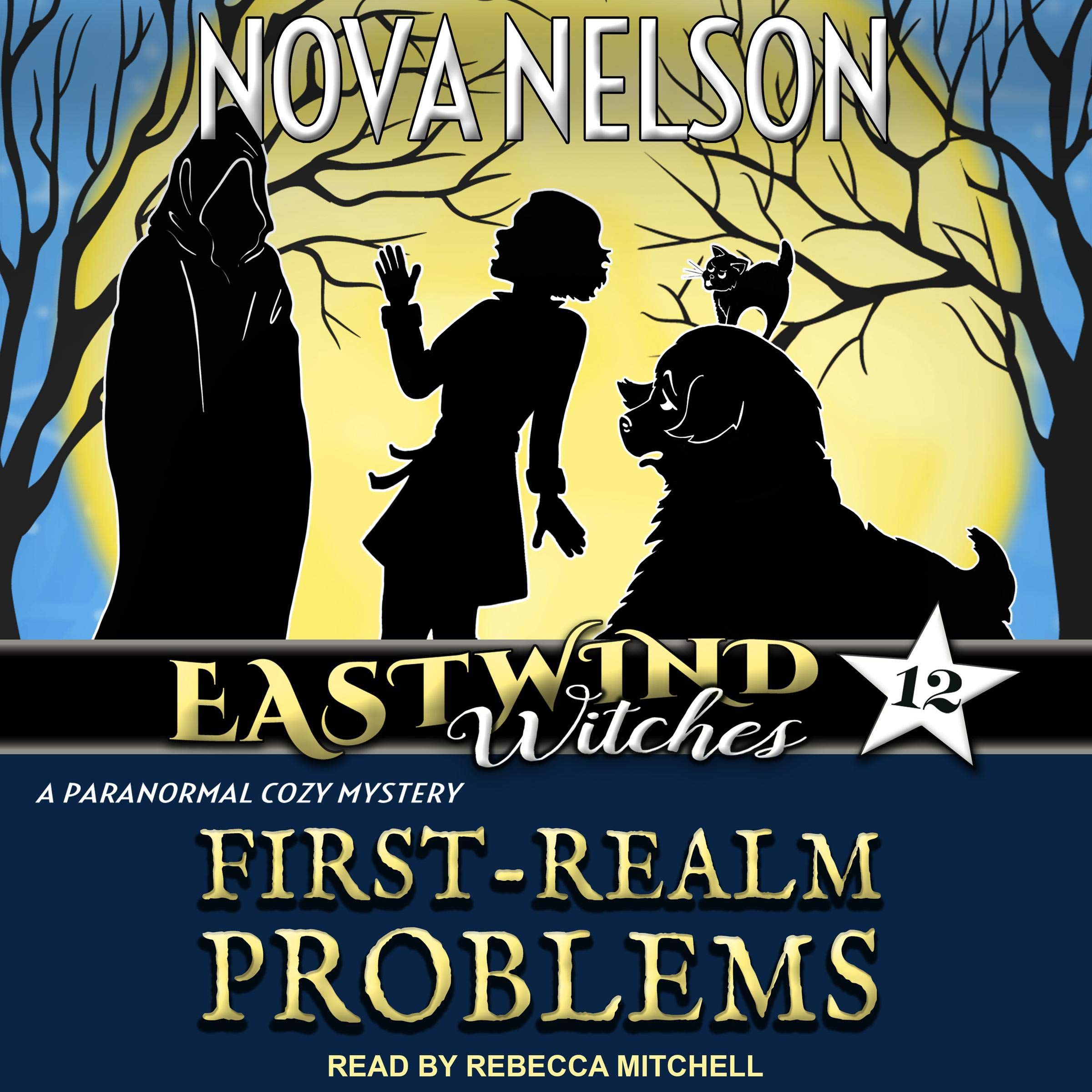 Cover art for First-Realm Problems