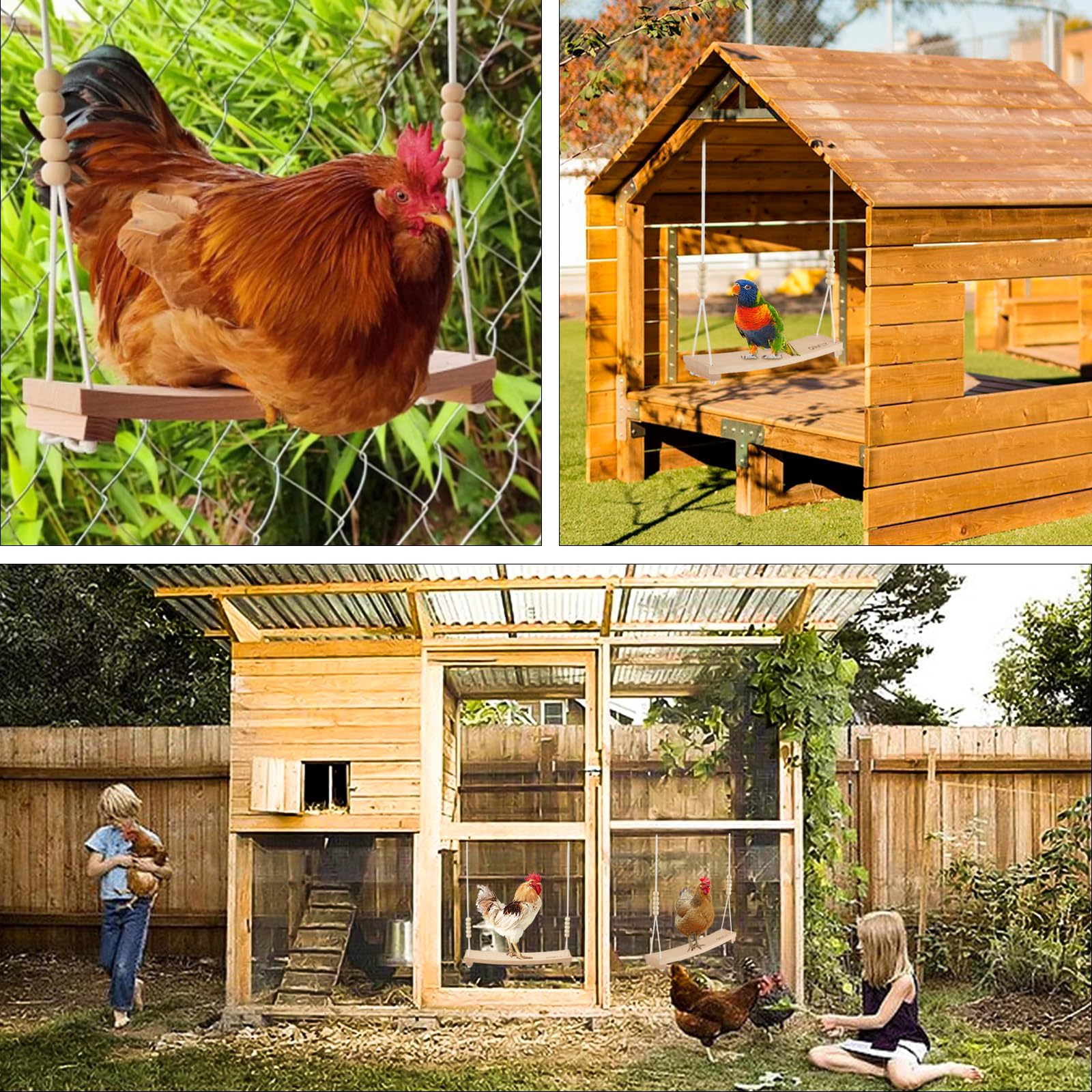 Columpio de pollo para gallinas Juguetes de pollo para gallinas