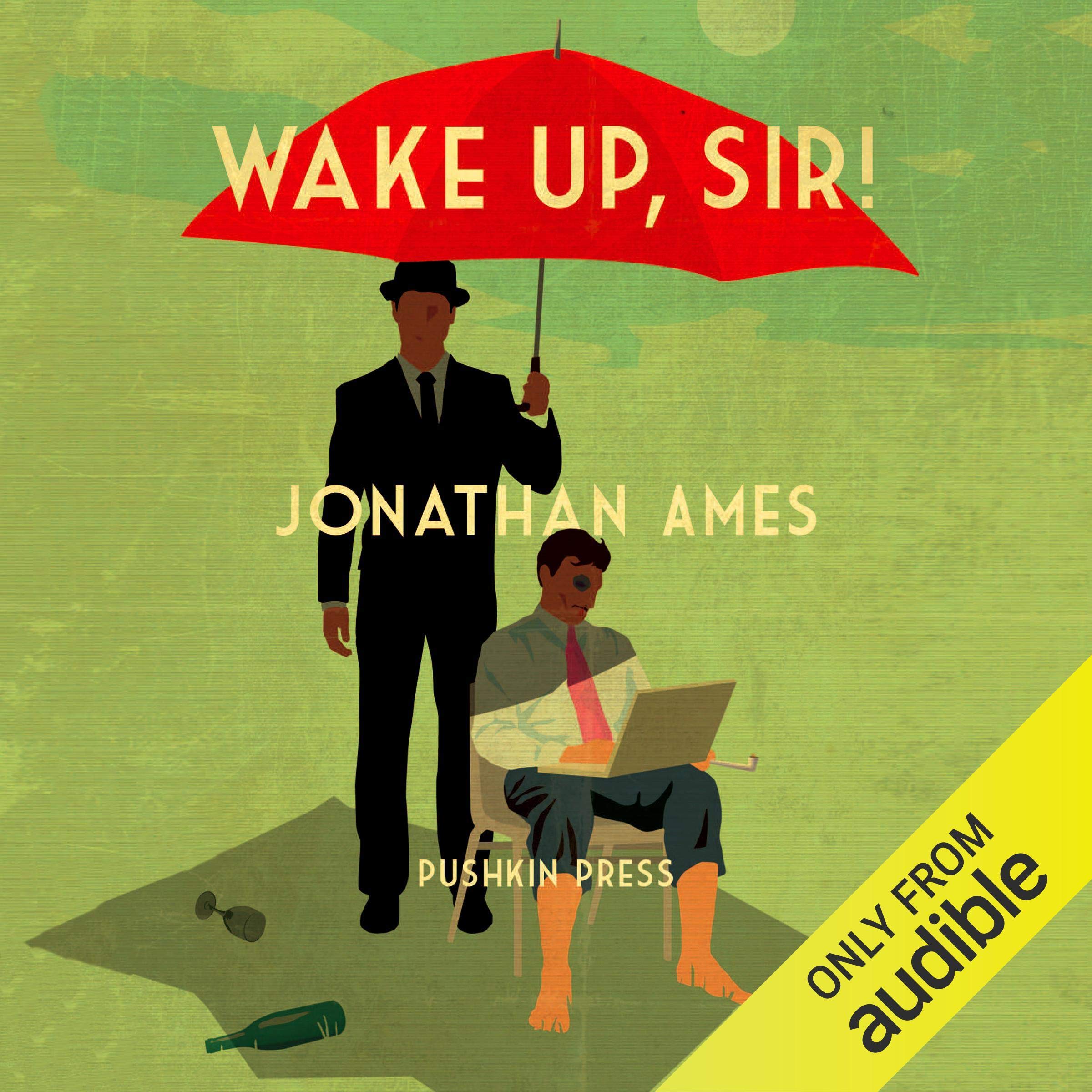 Cover art for Wake Up, Sir!