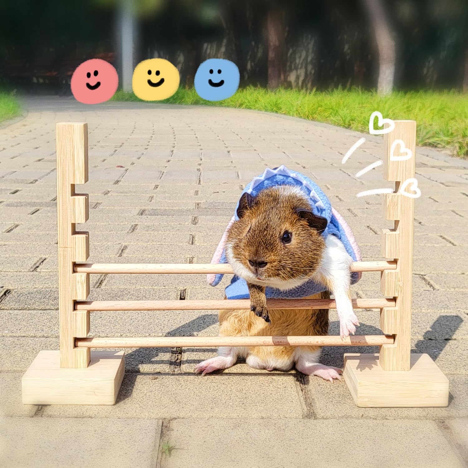 Small Animal Toys Natural Wood Pet Agility Jump - Adjustable Obstacle ...