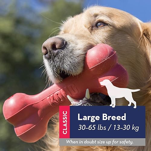 Miniatura 2 de KONG Goodie - Hueso para perro de juguete