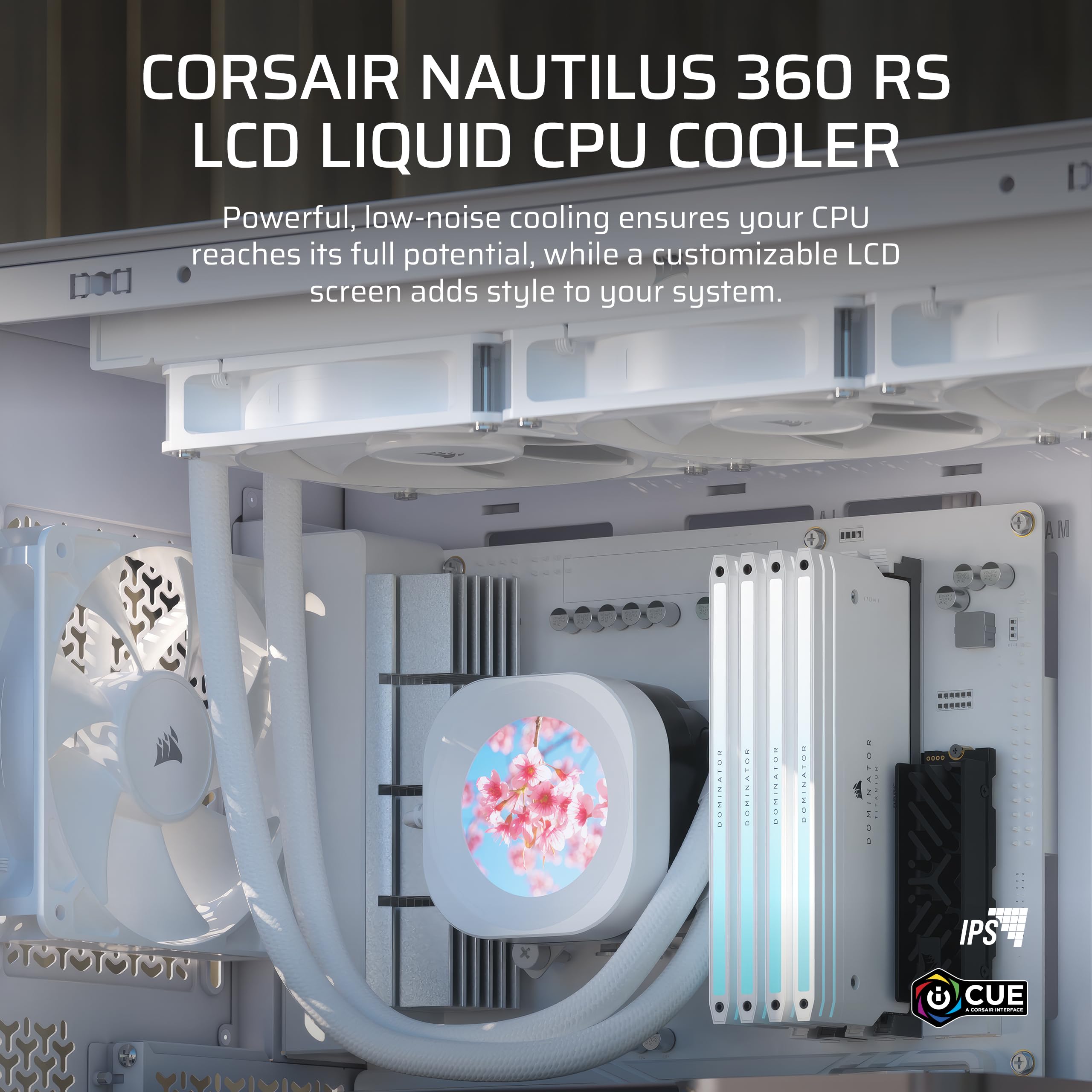 Amazon.com: CORSAIR Nautilus 360 RS LCD Liquid CPU Cooler – 2.1