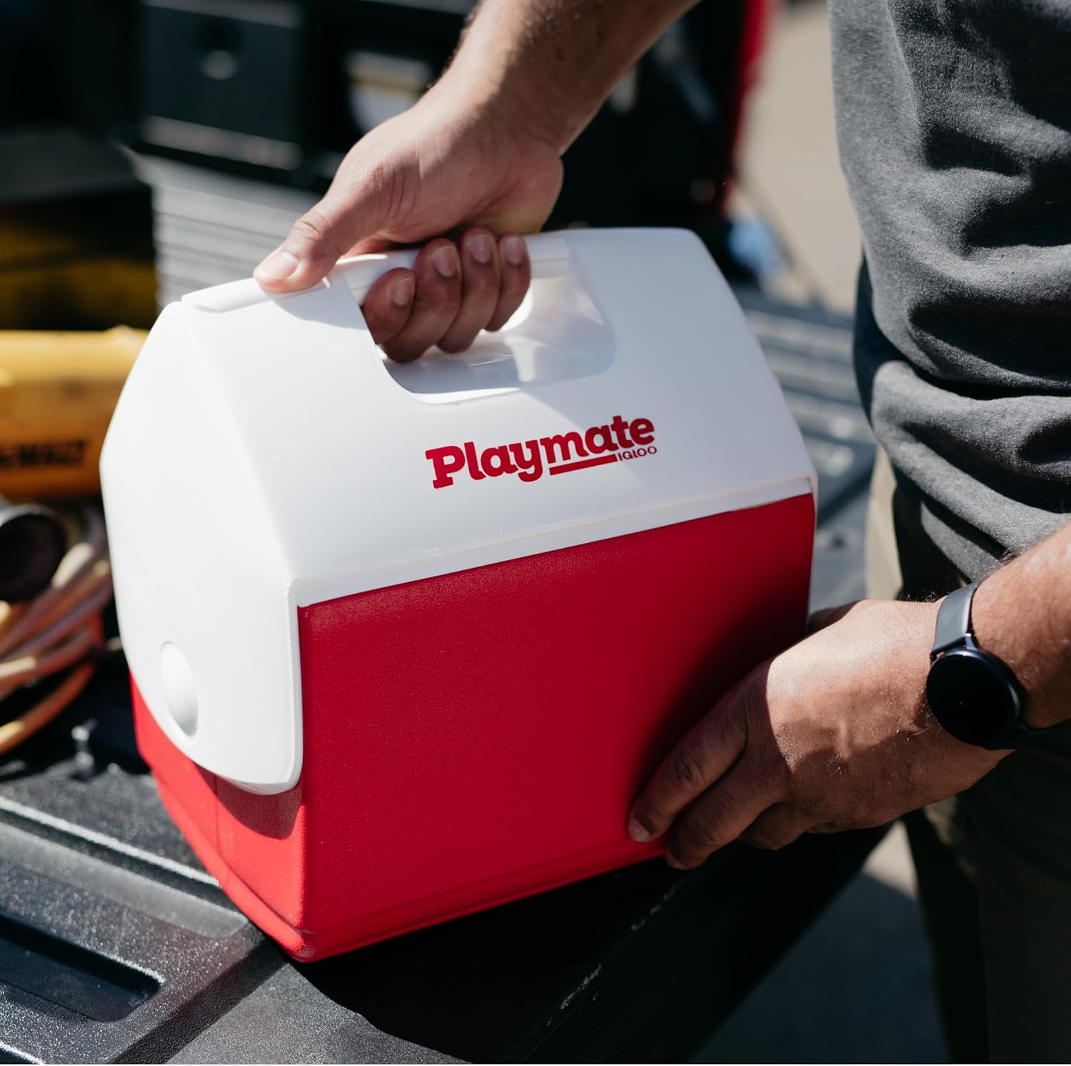 Igloo 4 Qt Playmate Mini Hardsided Lunch Box Cooler