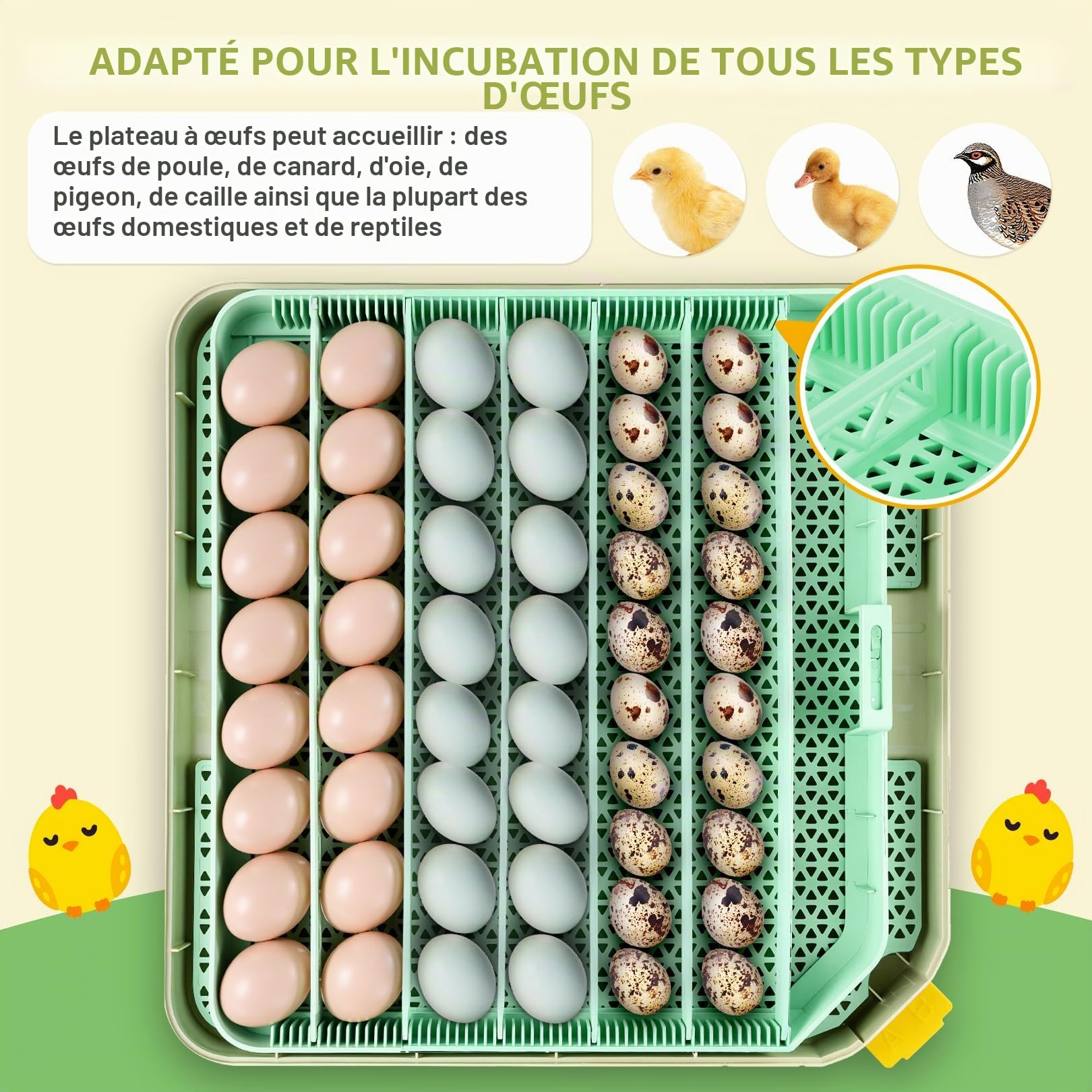Sailnovo Couveuse pour 48 œufs entièrement automatique avec contrôle de la température et de l'humidité, rotation automatique - Incubateur d'œufs pour poulet, canard, caille - Pour la ferme, l'école