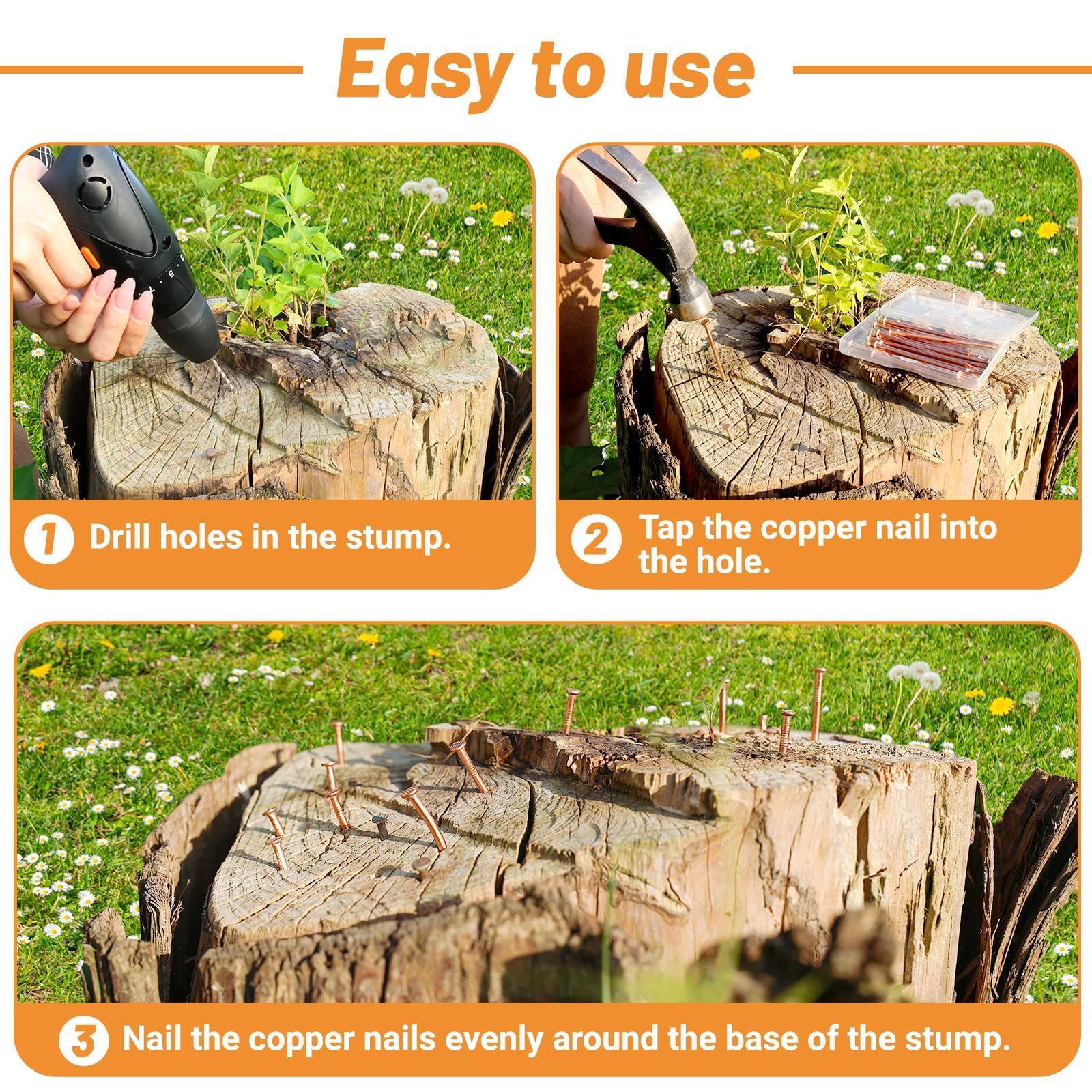 Copper Nails for Stump Removal - Kill Tree Roots -4