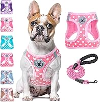 Vista 26 de BEAUTYZOO - Juego de arnés y correa para perros y gatos pequeños, extrapequeños y medianos, arnés tipo chaleco fácil de poner, antiasfixia