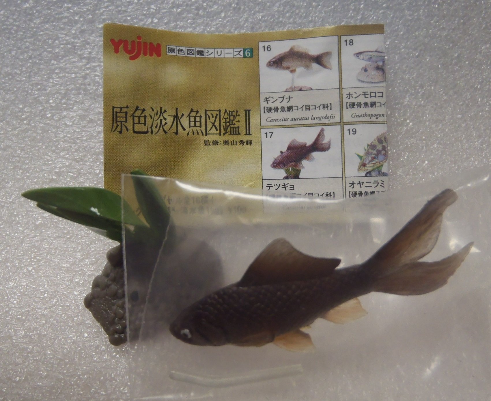 Amazon.co.jp: 原色淡水魚図鑑2 YUJIN 原色図鑑シリーズ テツギョ