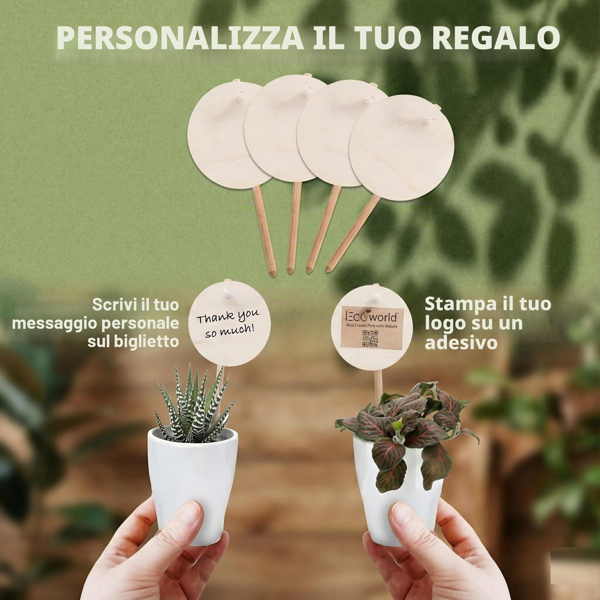 vdvelde․com - Bomboniere 20 mini piante grasse vere in vaso ceramica | Decorazione personalizzata per battesimo, comunione o festa aziendale, 20 piantine Ø 6 cm con cartoncini