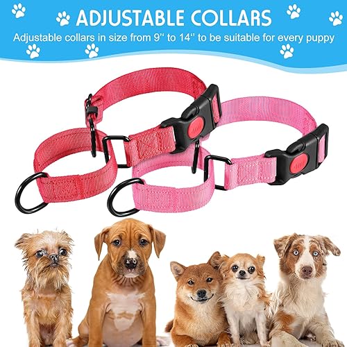 Miniatura 2 de 4 collares Martingale para perros, multicolor, gargantilla para perros pequeños, collar de cachorro para entrenamiento de cachorros