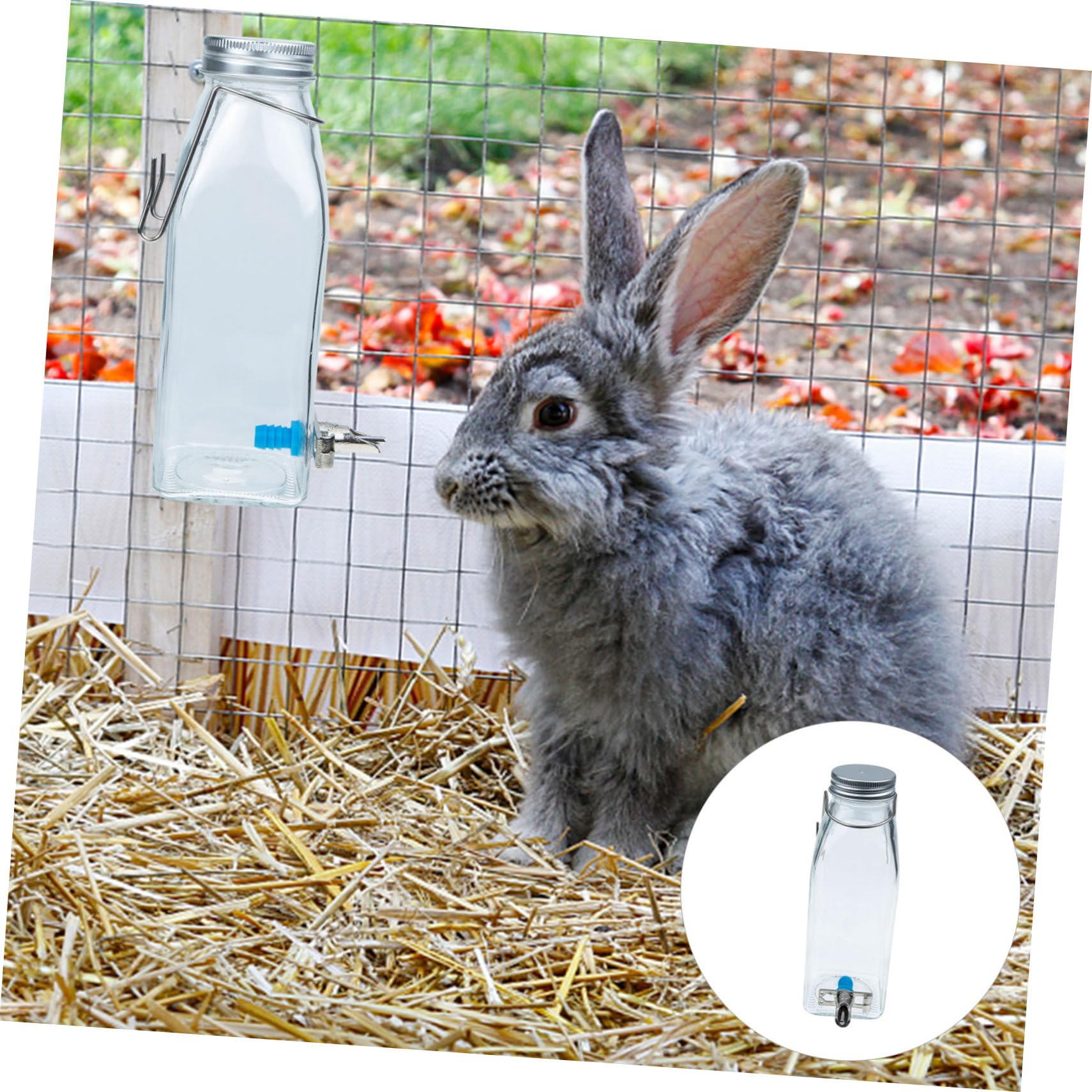 Happyyami Bebedero de Agua para Conejos de Vidrio 350ml, Colgante para Jaula, Silencioso, de Acero Inoxidable, Uso Diario