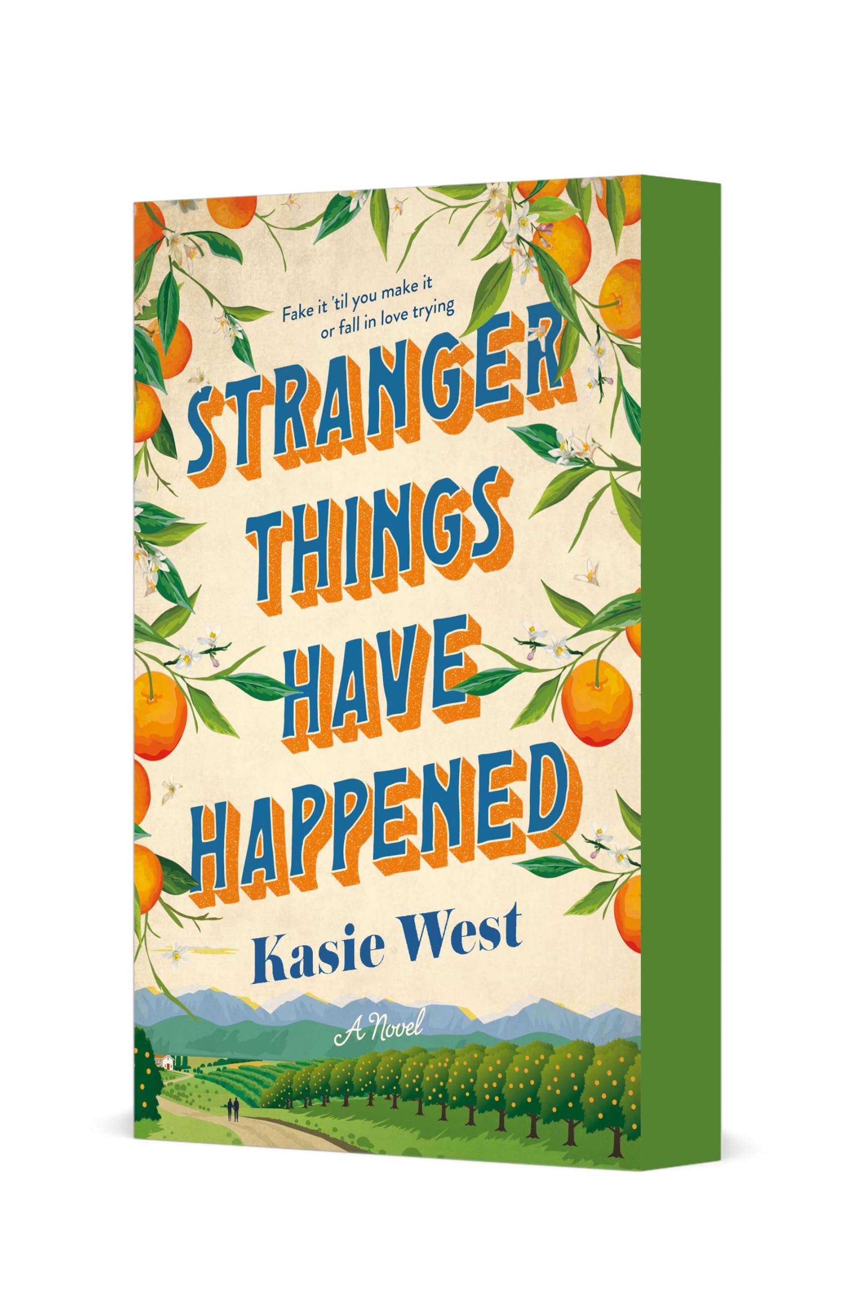 Stranger Things Have Happened: A Novel