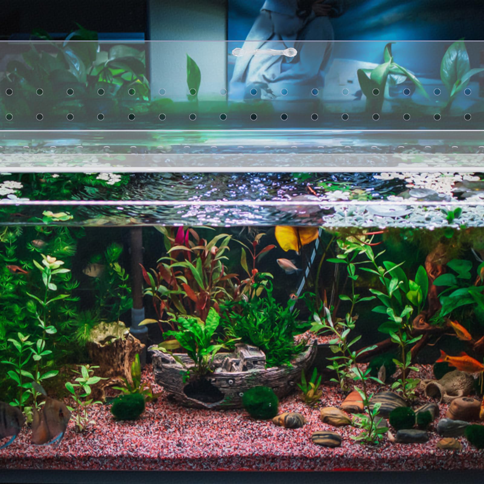 Sieral Lot de 2 auvents en polycarbonate de 58 x 29 x 0,3 cm pour aquarium de 33/40/55 avec support central, couvercle d'aquarium avec couteau à crochet, trou respirant et poignée, transparent