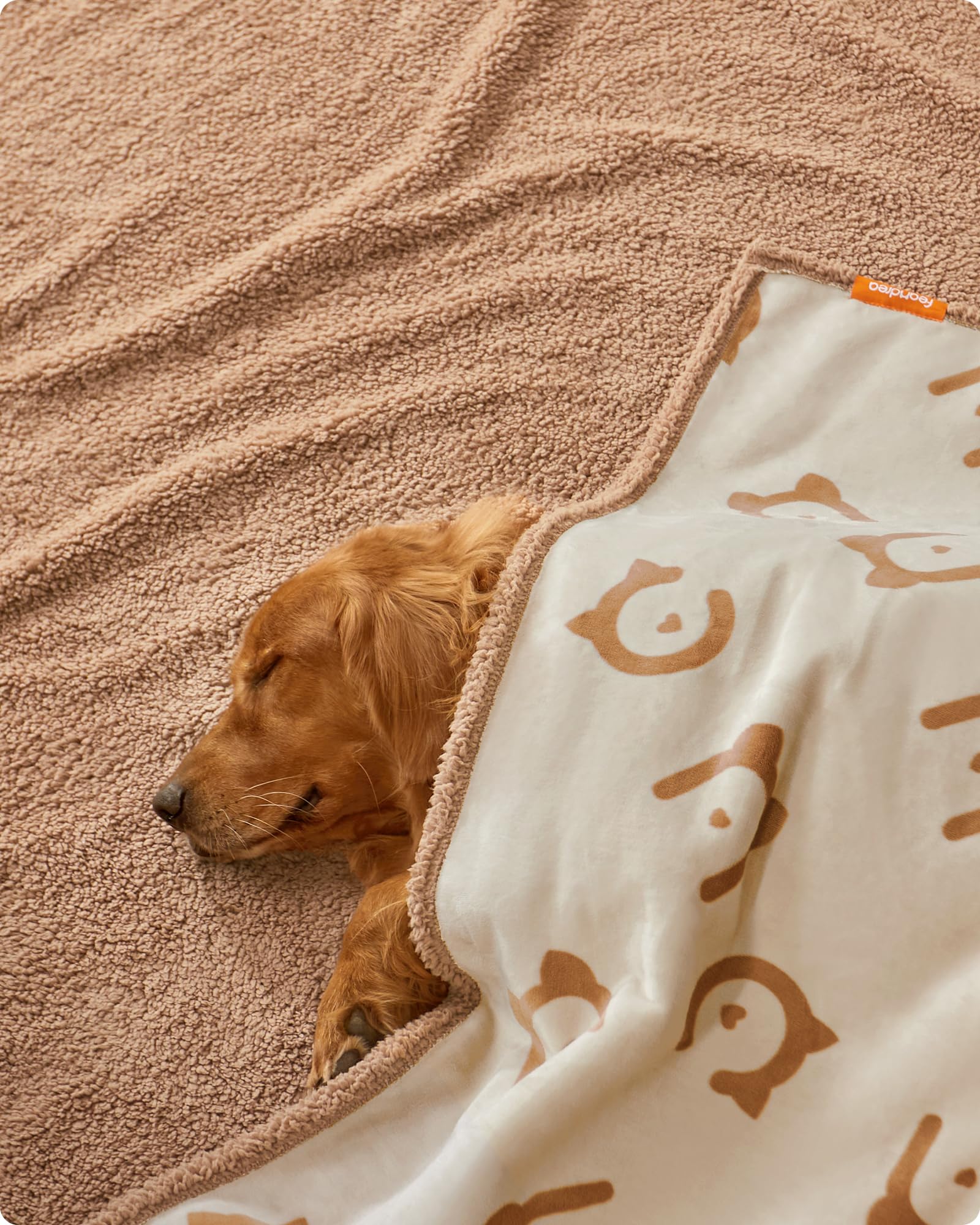 Feandrea Coperta Impermeabile per Cani, Coperta Animali Domestici in Sherpa per Cani di Grande Taglia, Gatti, 203 x 152 cm, XXL, Coprisedile Reversibile Lavabile in Lavatrice, Beige PPB080K01