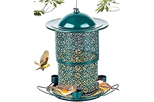 Squirrel Proof Bird Feeders for Outdoors