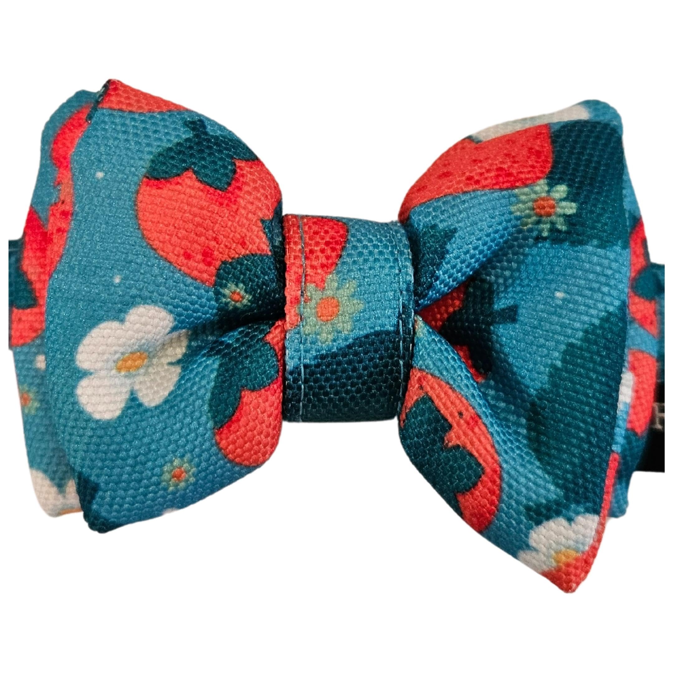 All For Fur Cat & Puppy Bow Tie (XS) | Adjustable Collar Strap | D-Ring for Leash Attachment | Bowtie with Collar | Luxury Dog Accessories | Bow for Cats & Pups | Blue & Red Strawberries (B0CGNTT4DD) Amazon Price History, Amazon Price Tracker