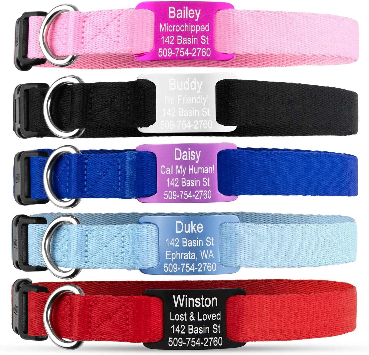 GoTags Personalized Dog ID Tag Collar, Adjustable Custom Nameplate Collar