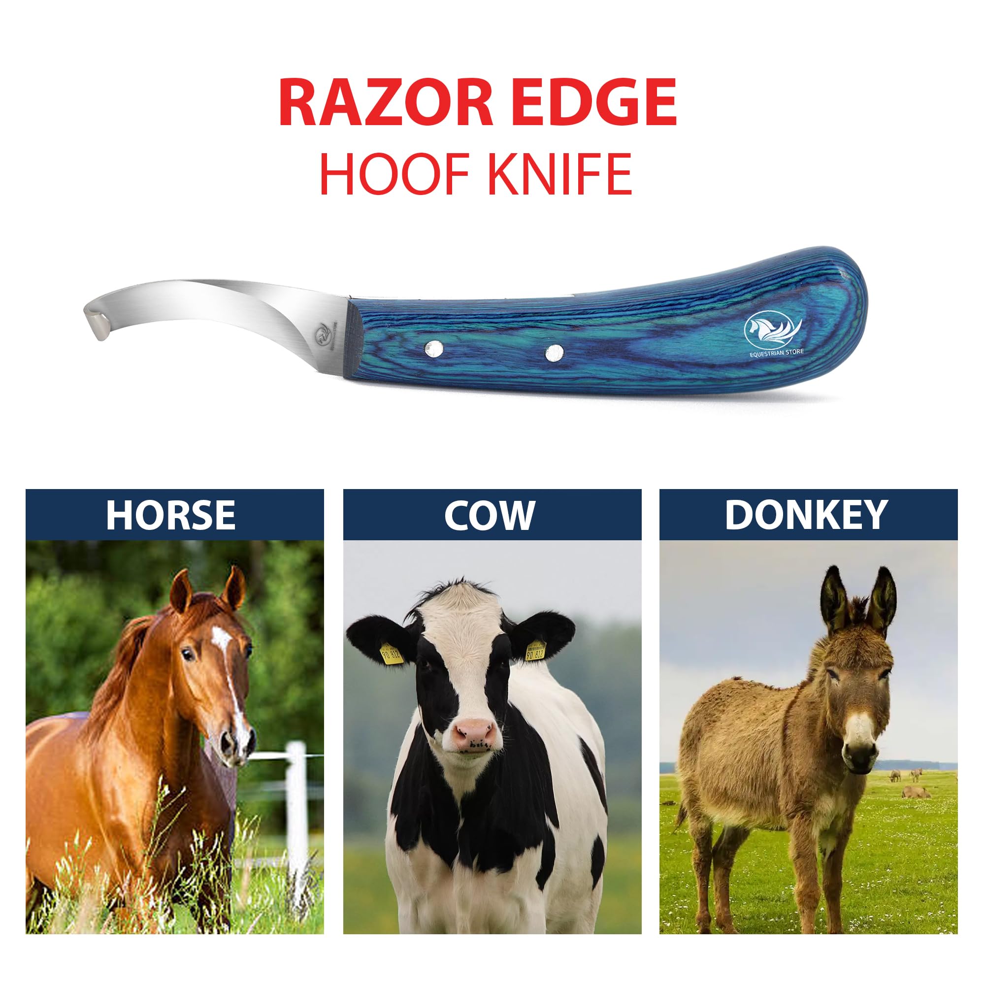 EQUESTRIAN STORE Double-Edged J2 Stainless Steel Hoof Trimming Loop Knife with Sheet Handle - Versatile Farrier Tool for Horse & Cow Hoof Care, Ideal for Farriers & Horse Owners. (FLK-08) (HKR-1R)