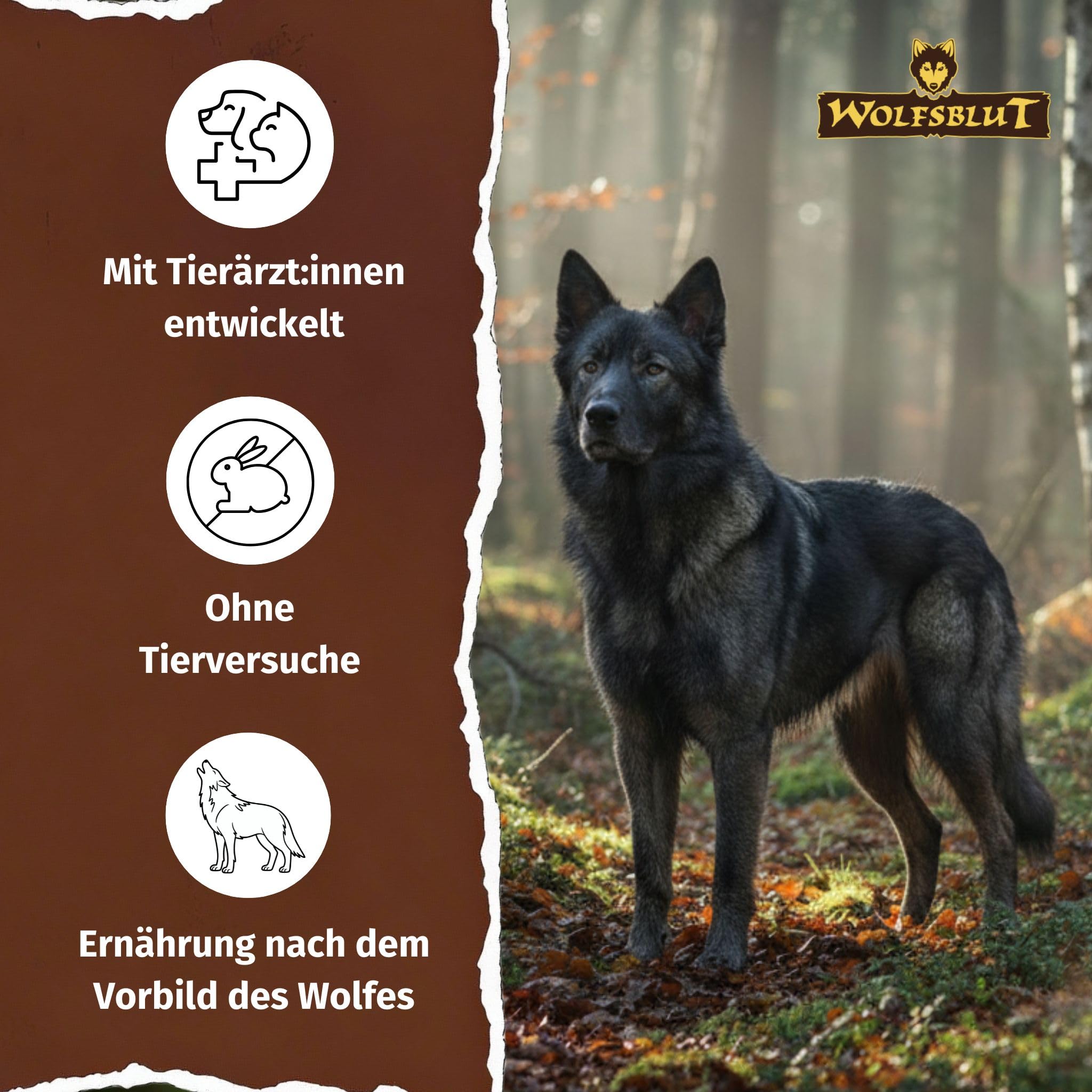 WOLFSBLUT – Dark Forest Adult | Trockenfutter mit natürlichen Zutaten und wertvollen Superfoods für ausgewachsene Hunde. Getreidefreies Alleinfutter ohne Zusatzstoffe im Beutel | 12,5kg Wild