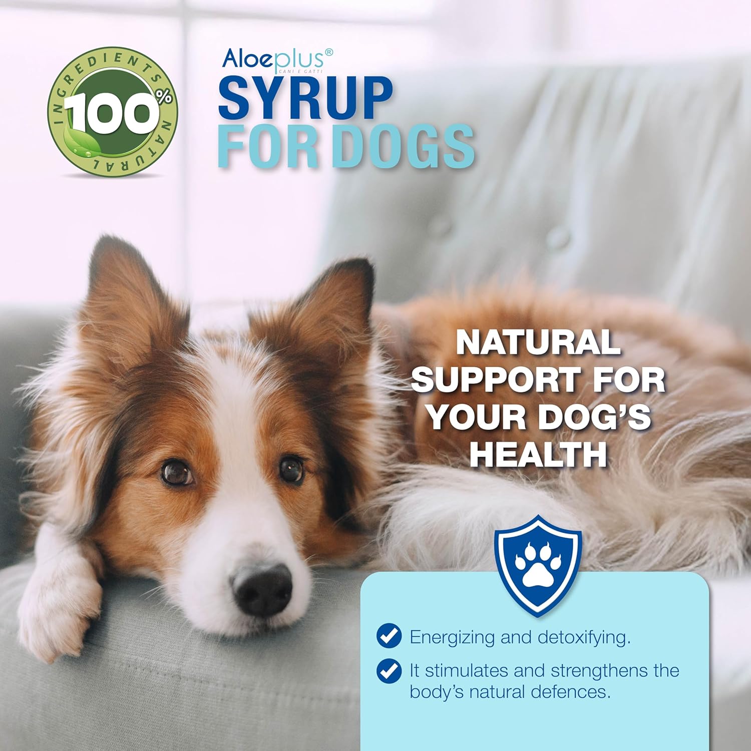 Dog Syrup 150ml - Complementary Energy and detoxifying Food Based on Organic Aloe Arborescens, Strengthens Natural defenses, Ideal as a Tonic for Senior Dogs and Puppies.