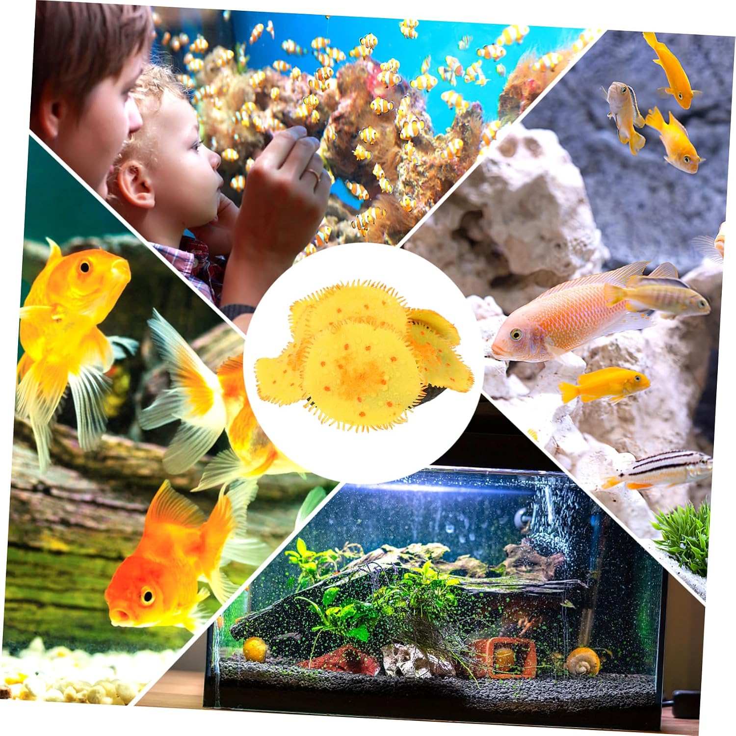 HANABASS Fish Tank Decoration Coral Figurine Aquarium Decor Artificial Coral Ornament 3.14X3.14X1.41 Inch Safe Durable Aquarium Accessories for Underwater Landscape