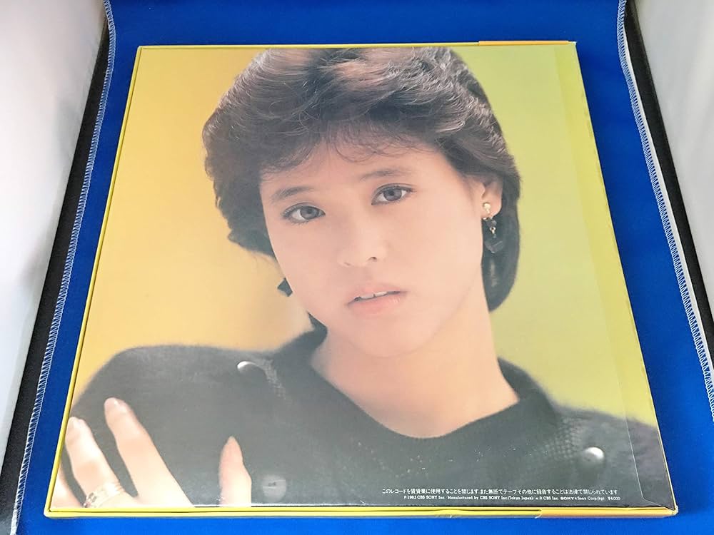 Seiko Plaza レコード 松田聖子 / SEIKO PLAZA [2LP - 40AH1661~3]：JAPANESE