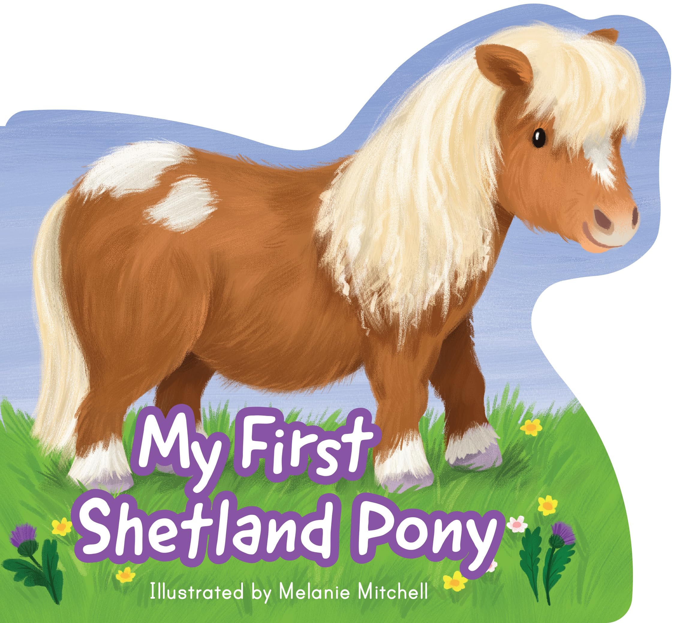 My First Shetland Pony (Wee Kelpies)