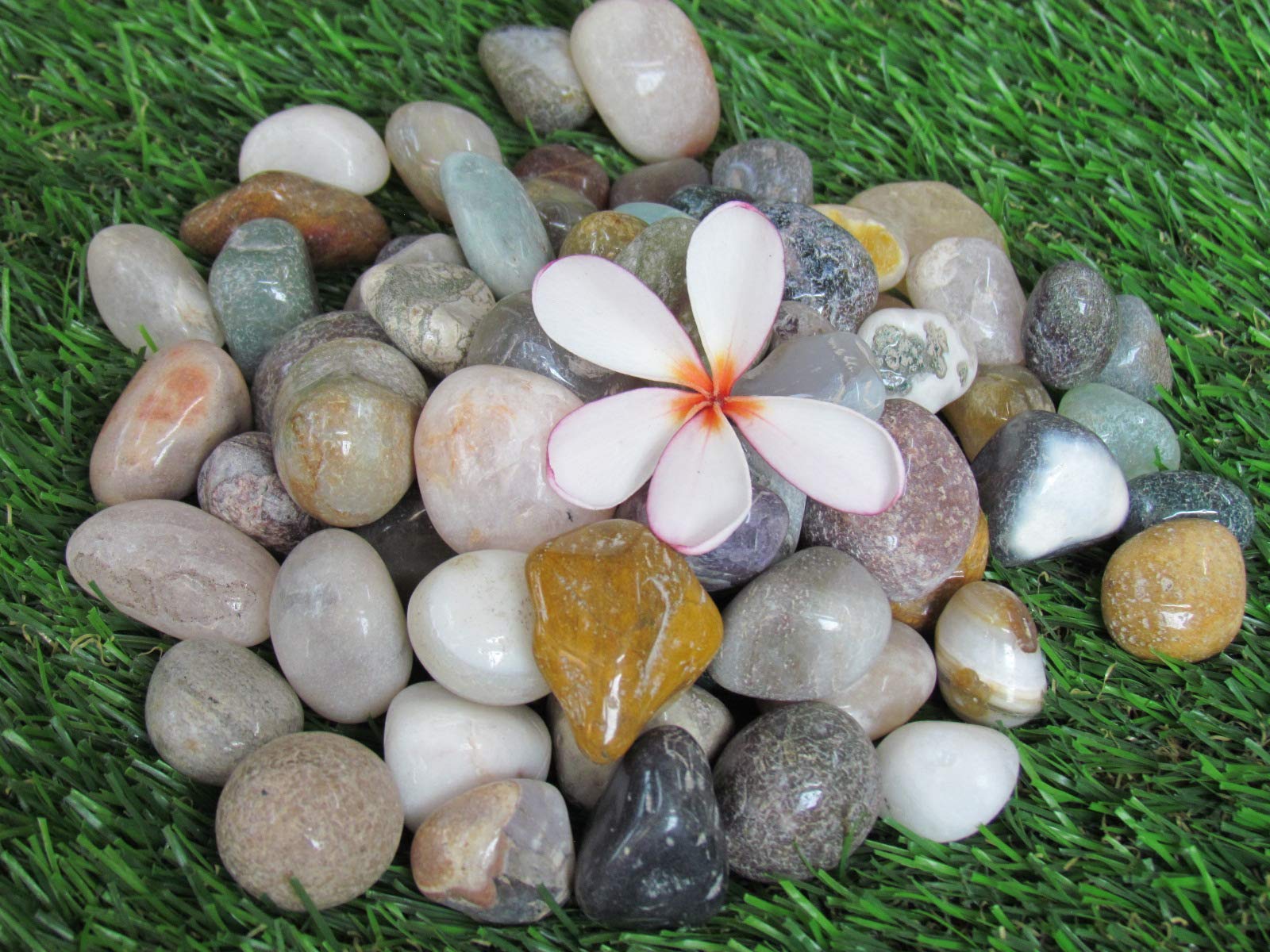 Garden art Decorative Marbles 5Kg (Mix Polished)-image-13