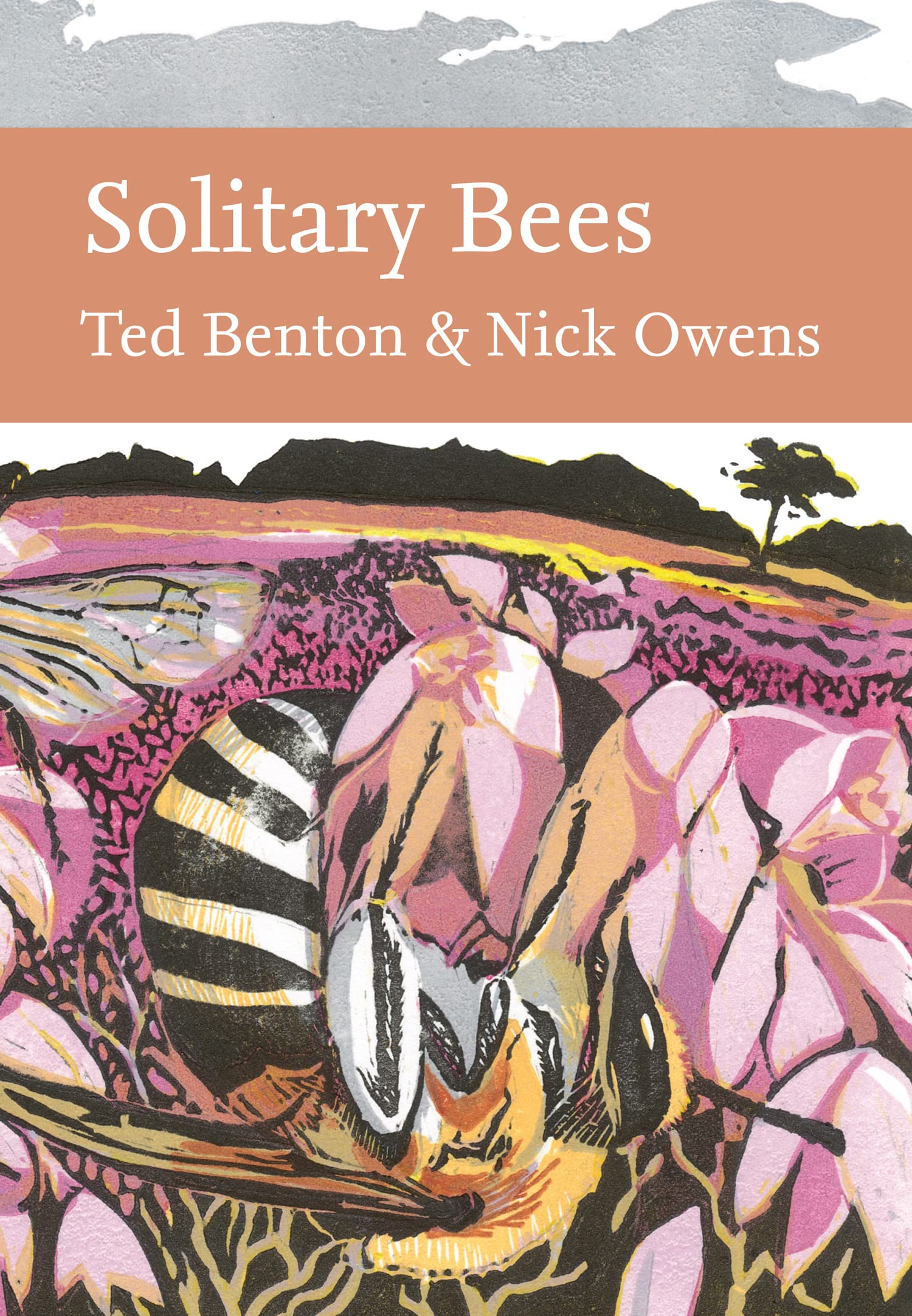 Solitary Bees by Ted Benton, Nick Owens - 9780008304553