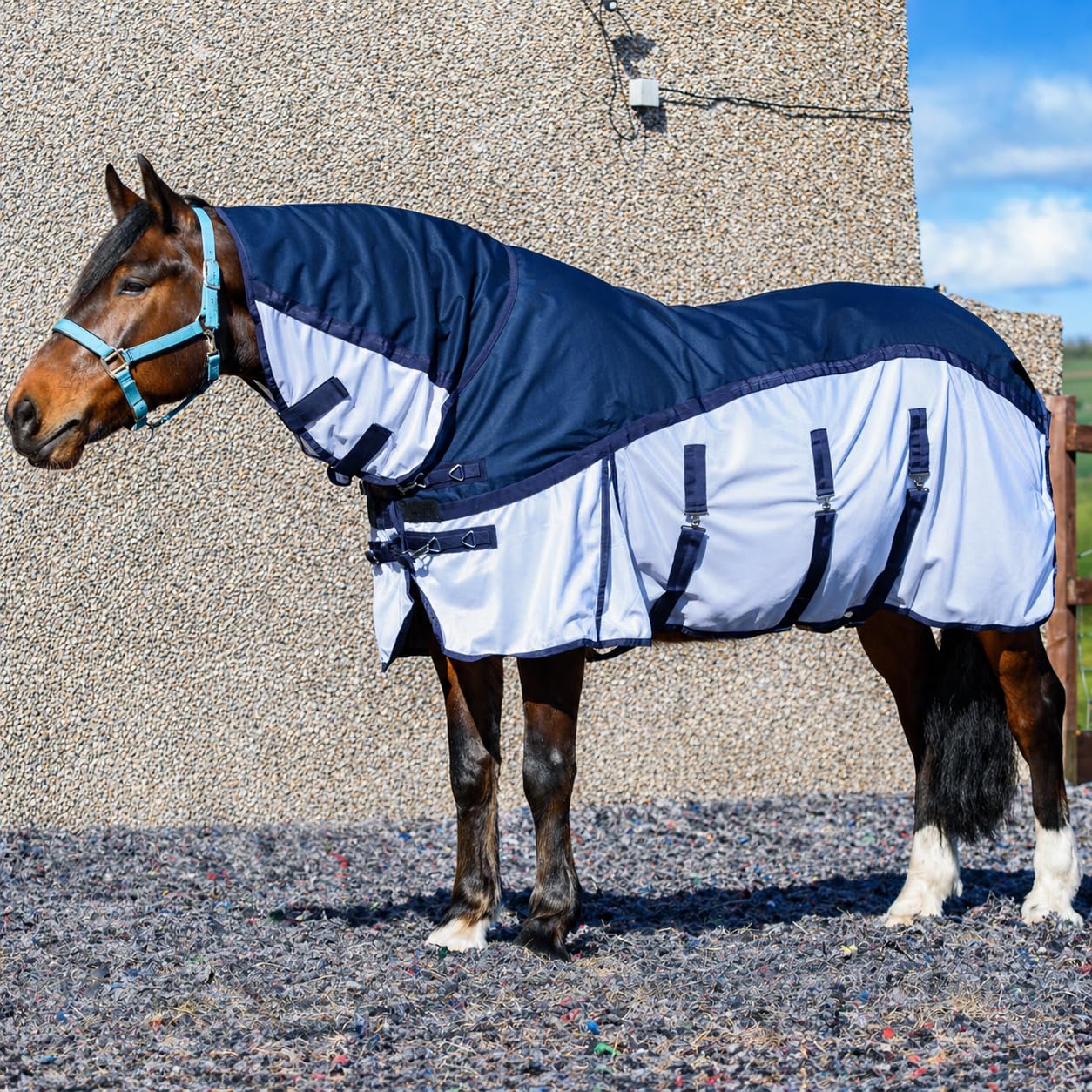Equitack 600D Fly Rug for Horses, 6’9” | Mesh Fly Sheet Lightweight UV & Light Rain Protection with Full Neck | 2-in-1 Waterproof Fly Mesh Rug, (Blue/White)