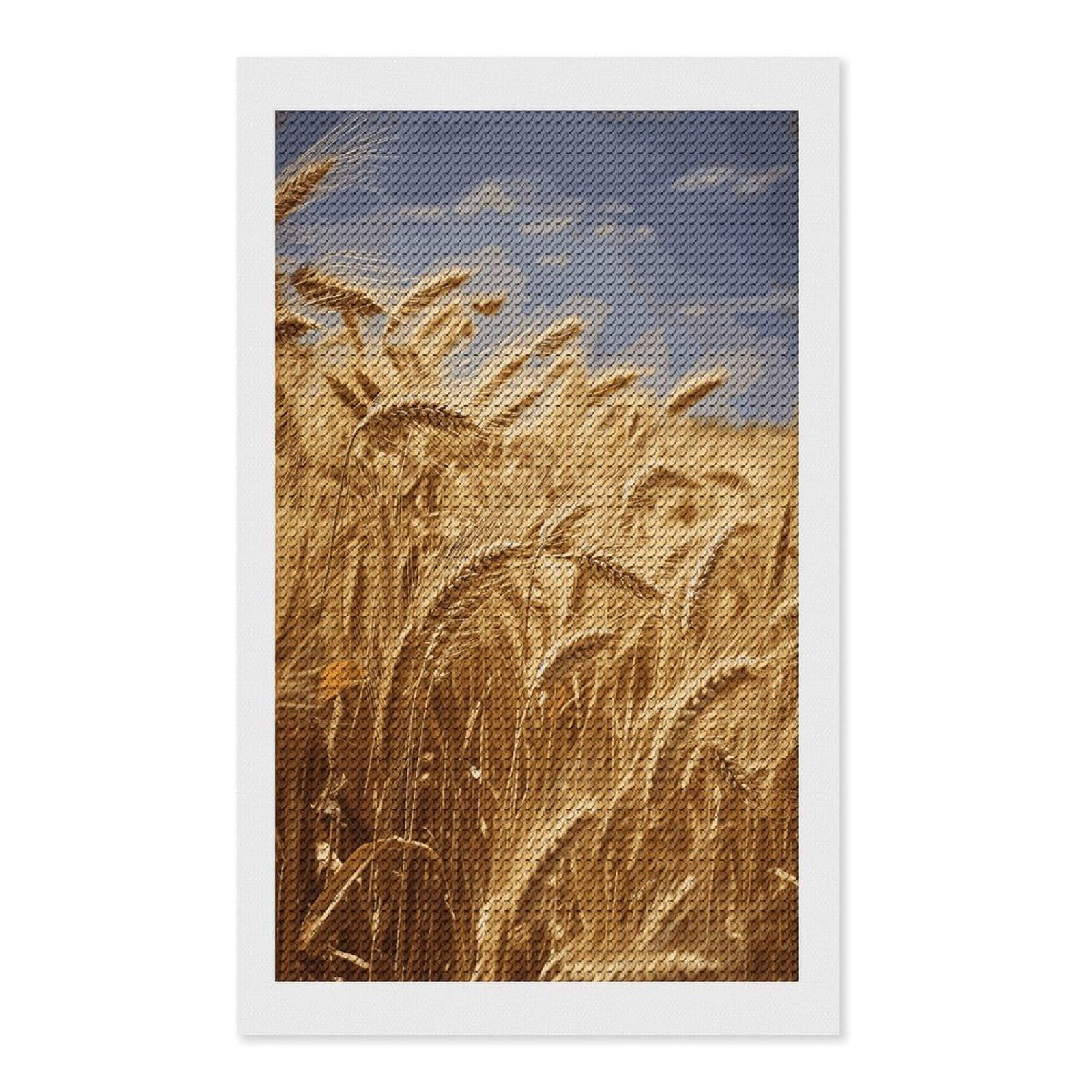 FekiLoot Diamond Art Kits for Adults, DIY 5D Wheat Harvest Diamond Painting Kits for Beginners, Full Round Drill Diamond Dots Painting Gem Art Crafts for Home Wall Decor & Gift 12"x20"