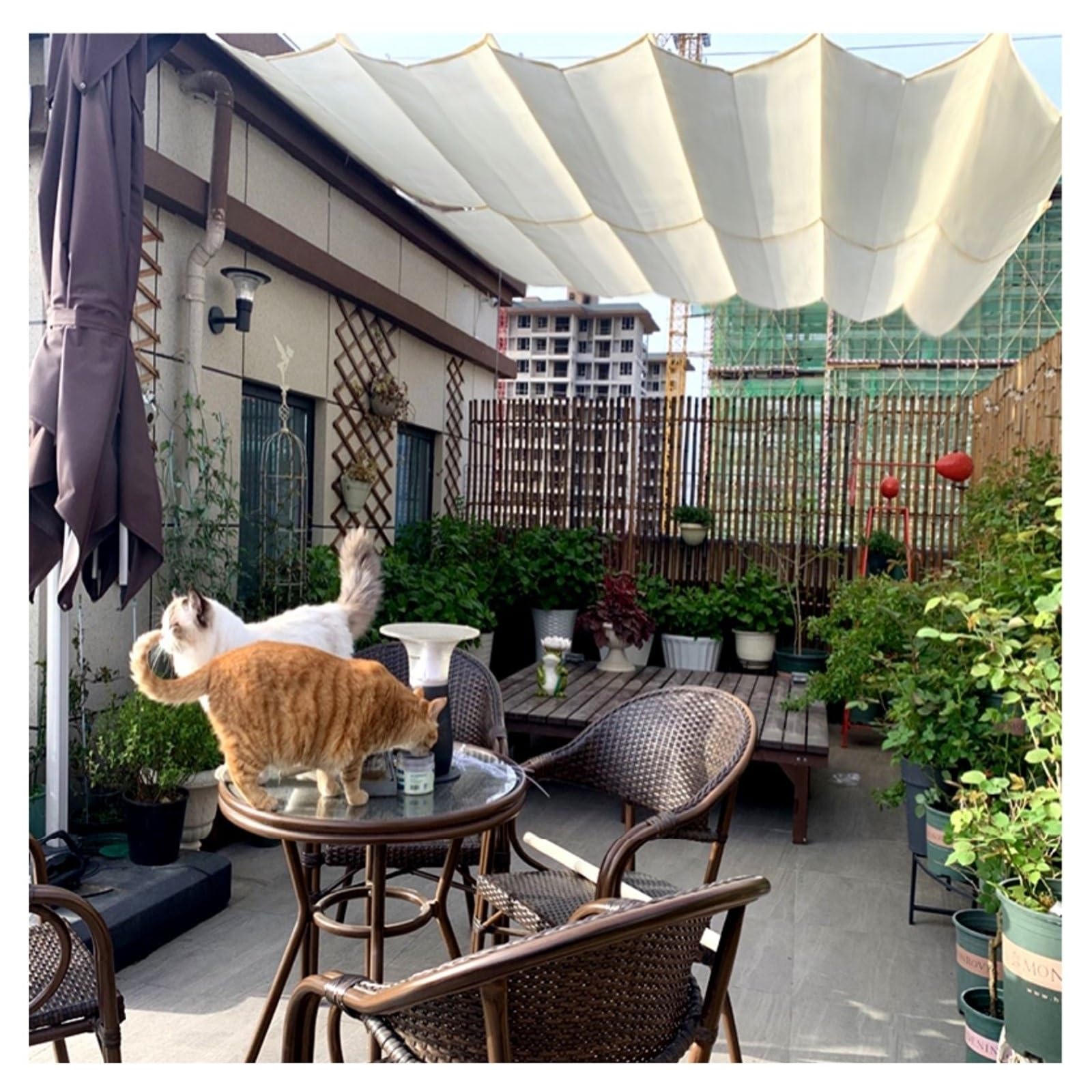 Voile d'ombrage rétractable à vagues avec corde coulissante pour jardin et pergola